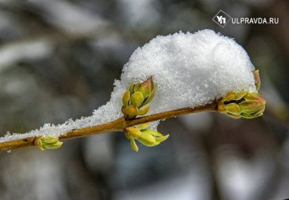 Прогноз погоды. Как глобальное потепление влияет на климат и зачем синоптикам ИИ