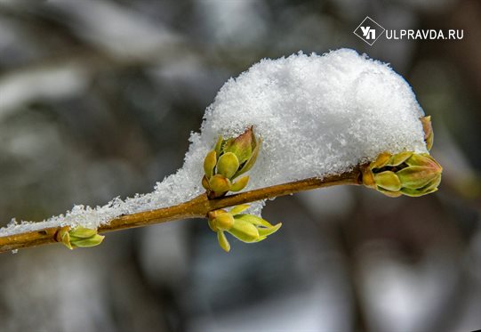 Прогноз погоды. Как глобальное потепление влияет на климат и зачем синоптикам ИИ