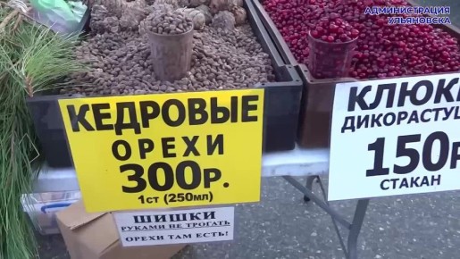 ������� � �������� ������ ������ �������� �������������������� �������