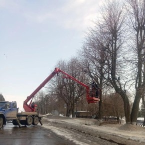 На бульваре Новый Венец и в переулке Гимова провели формовочную обрезку деревьев