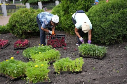 � ������ � ���������� ��������� � ������� �������� � �����������