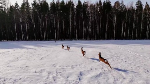 ��������� ������ ������ � ������������ ����� �������������� �����