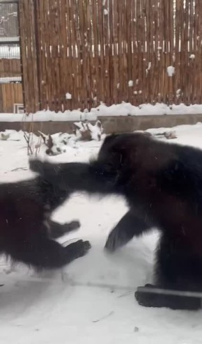 �������� �������� � ��������� �� ����������� ��������