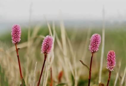 �����������: ������������ �������� � ��������� ����������