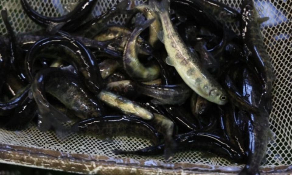 �� ������ ������ ��������� ��������� ���������� ������� ������ � ����