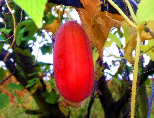 ������������ ���������: ������ ��� ������ ��� ������ ����?