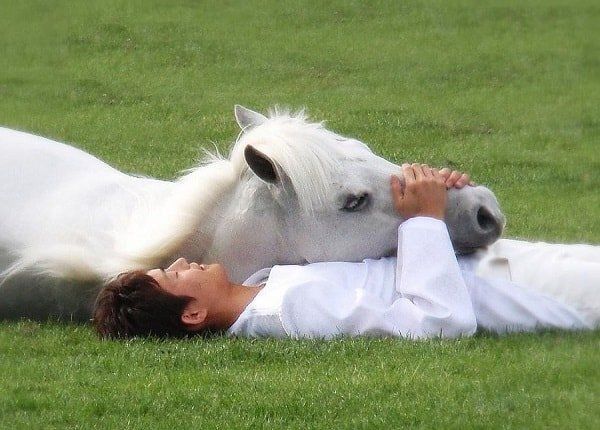 ��� ����� ������ ������ � ���� ������-���������