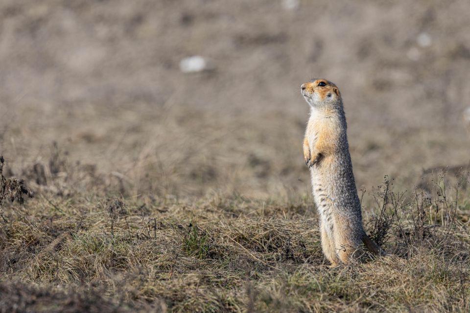 ���������� ��������� �� ������ ������������ ������