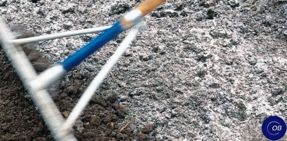 ������ ����� ������������ ����� � ����� ��� ����� �������