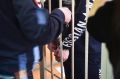 В Ульяновске арестован псевдоофицер, обманывавший родственников участников СВО