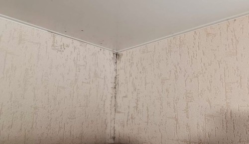 ��� �������� ������� � ��������: ������� � ������