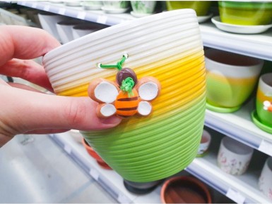 Необычные горшки и кашпо: что выбрать для вашего растения