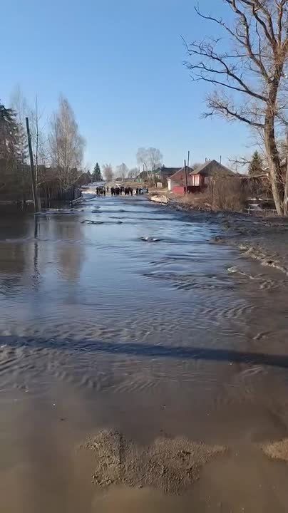 � ��������� ������ ����������� ������� �������� ������� �����