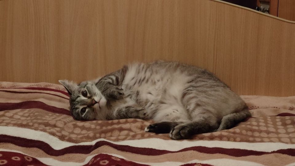 ������ ����, ������!. ������ ����� ����� ���������� �������� � �����