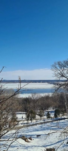 Доброе утро, друзья!. Сегодня — 31 марта — отметим Международный день резервного копирования, Праздник разноцветных глаз и Международный день «Бросай свою ненавистную работу»