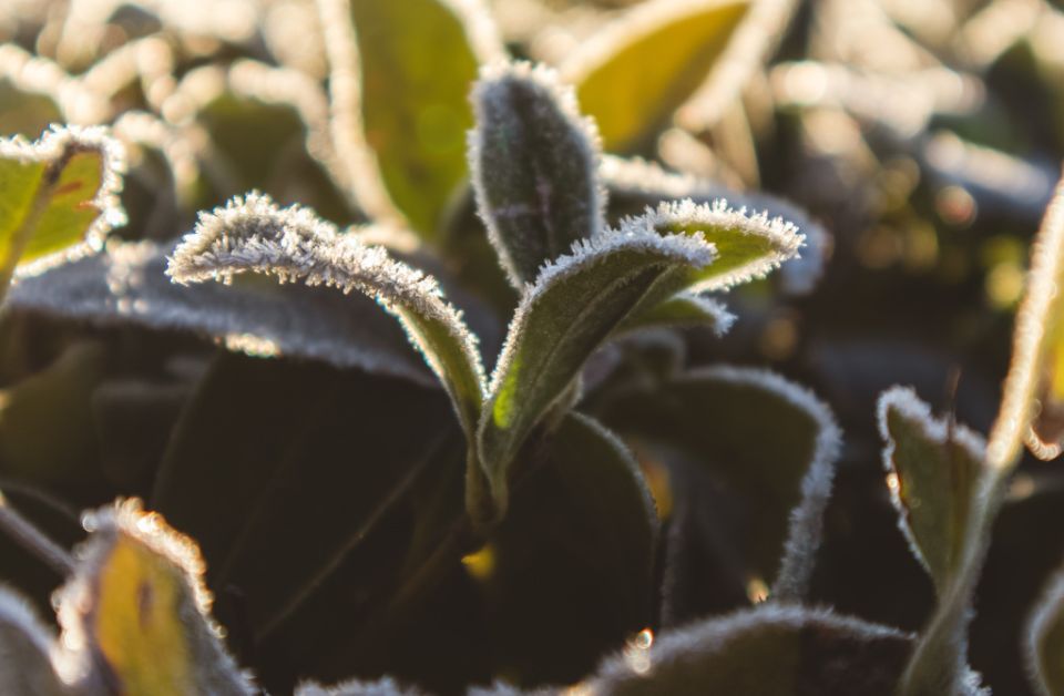 ��������� ��������: ����� ���� ��������� ��� ������� � 2026 ����