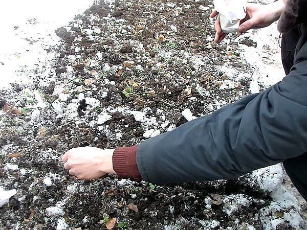 ������ ��� ��������� �������, ������� ����� ��������