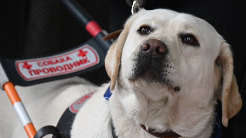 В России стартует новое поколение ГОСТов: что нас ждет в апреле