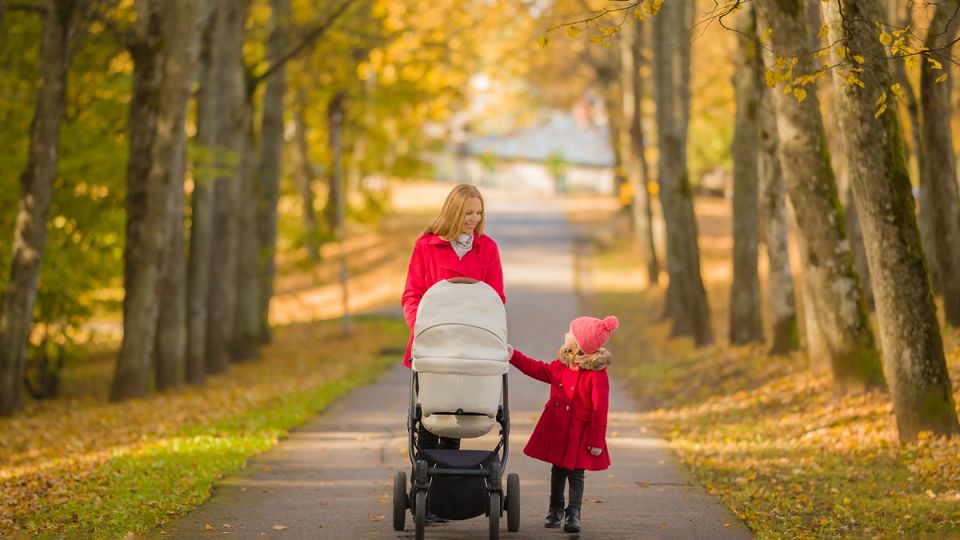 ����������� ������ ��������� ������������ ���������� ��� ������� ����������