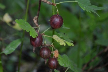 ��� ��������� ���������� ��������� ����� ����� ������