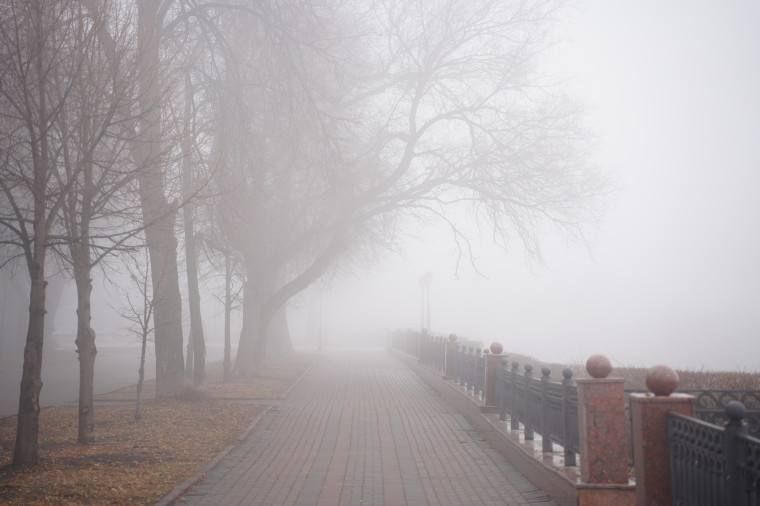 ����� � ���������� ���������� �� ����������� ���