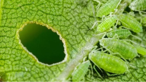 ��� ���������� ���������� � ����: ������� � ��������� ������