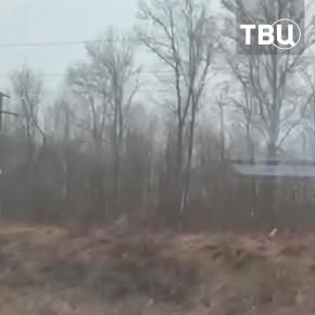 ������ ����������, ������ ������ �������� ����: ��������� ����� �� ������ ����� ����� ������ � ����������� �������