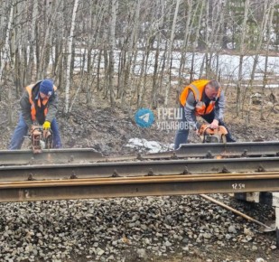 Ульяновские паблики пишут, что на фото — тот самый повреждённый рельс, из-за которого опрокинулись вагоны пассажирского поезда