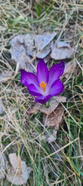 ������ ����, ������!. �������, 3 ������, �������� ���� �������� ���������� ��������, ���� �������� ���������, ���� ������� �� ������ � ���� ������ �� ������� ������