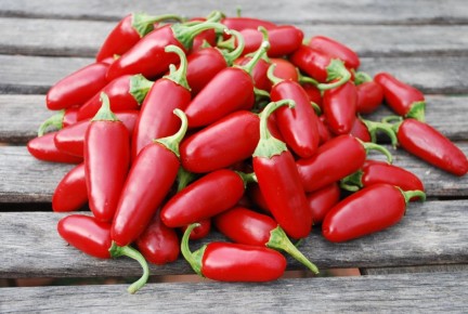 Острый перец на вашем участке: как выбрать лучшие сорта и увеличить урожай