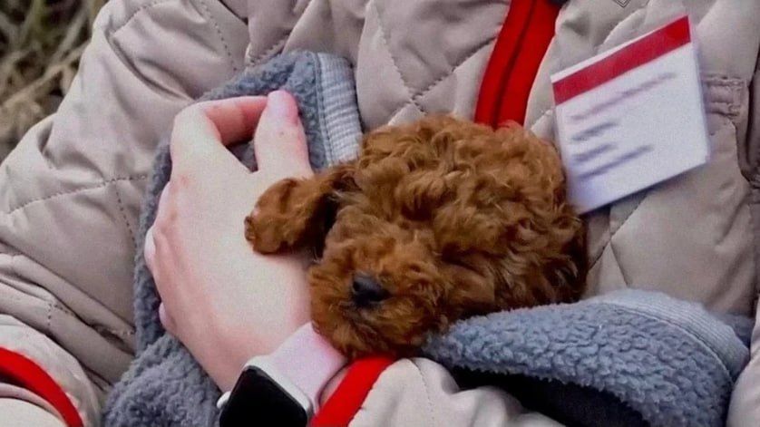 ������ �������� � ��������� ������: ��� ���������� ������ ����� �� ������, ������������ �������� ��� �����������