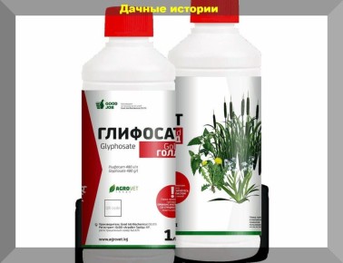 ����������� ������� ������ � ���������: ����� � �������� � ����� ����