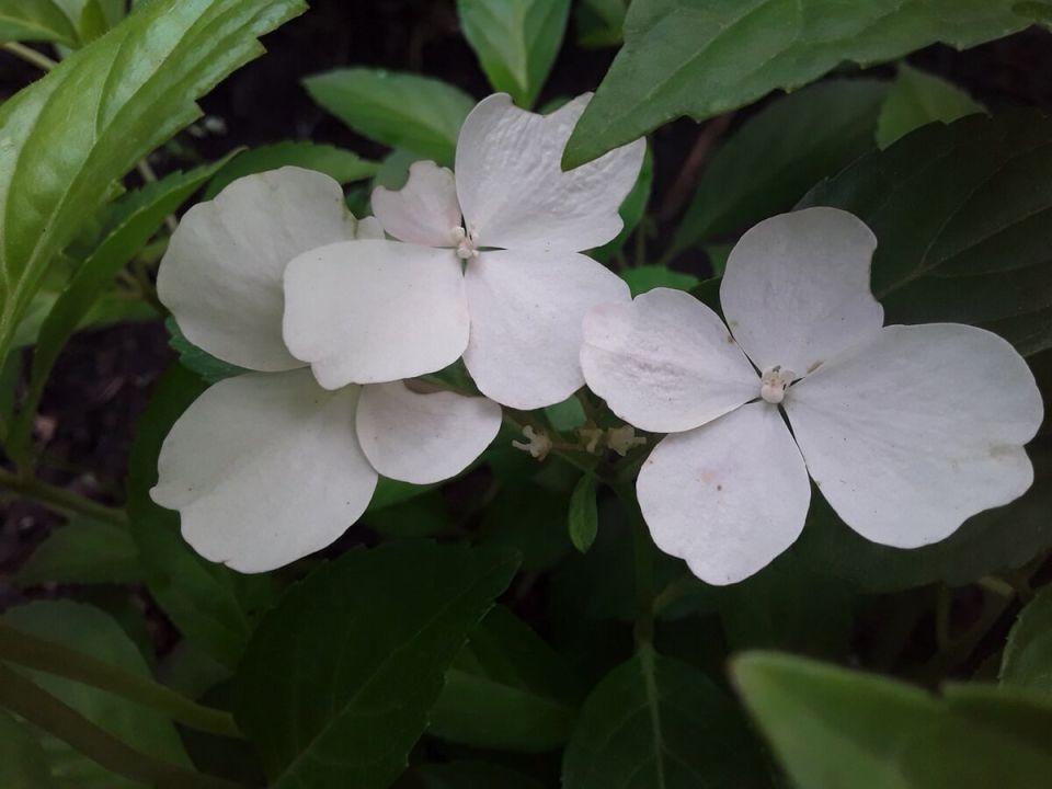 ���-10 ��������: ���� ����� ��� ������ � 2025 ����?