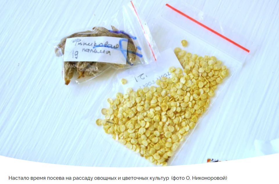 ������-��������� ������ �� ������� ���������: ��� ������������� � 20 �� 26 �������