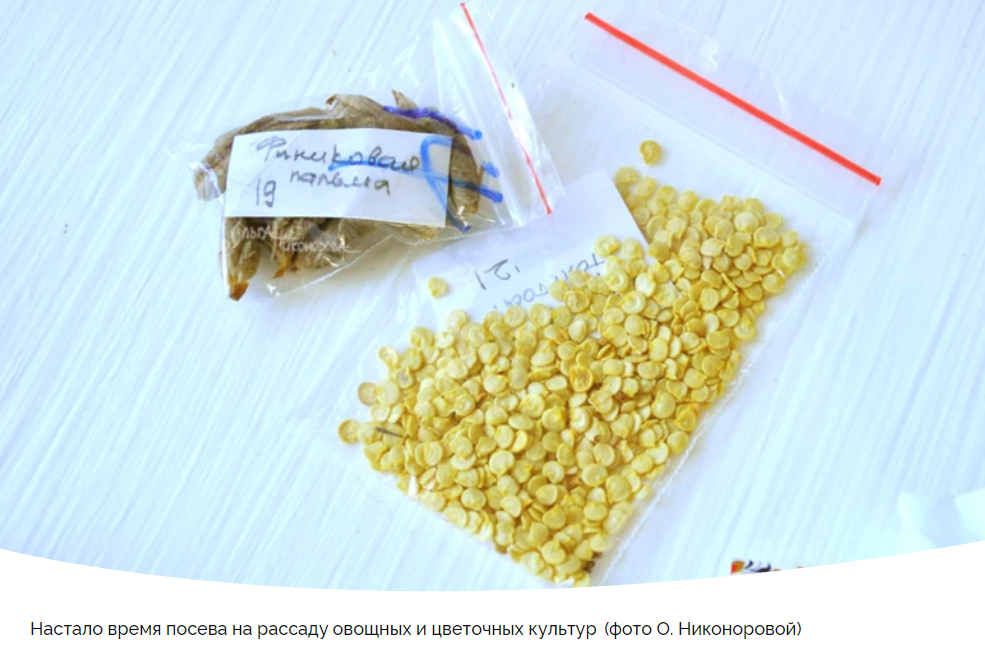 Садово-огородные работы по лунному календарю: что запланировать с 20 по 26 февраля