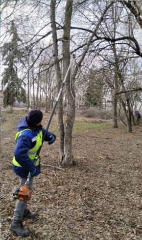 На улице 40-летия Октября облагородили зелёные полосы