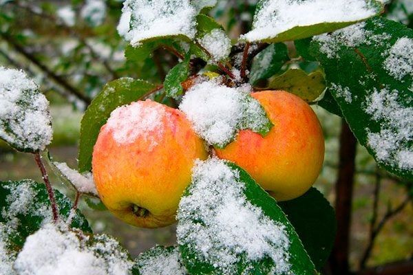 ������������ ����� � ������������� ������: ��� ����� ����� ��������