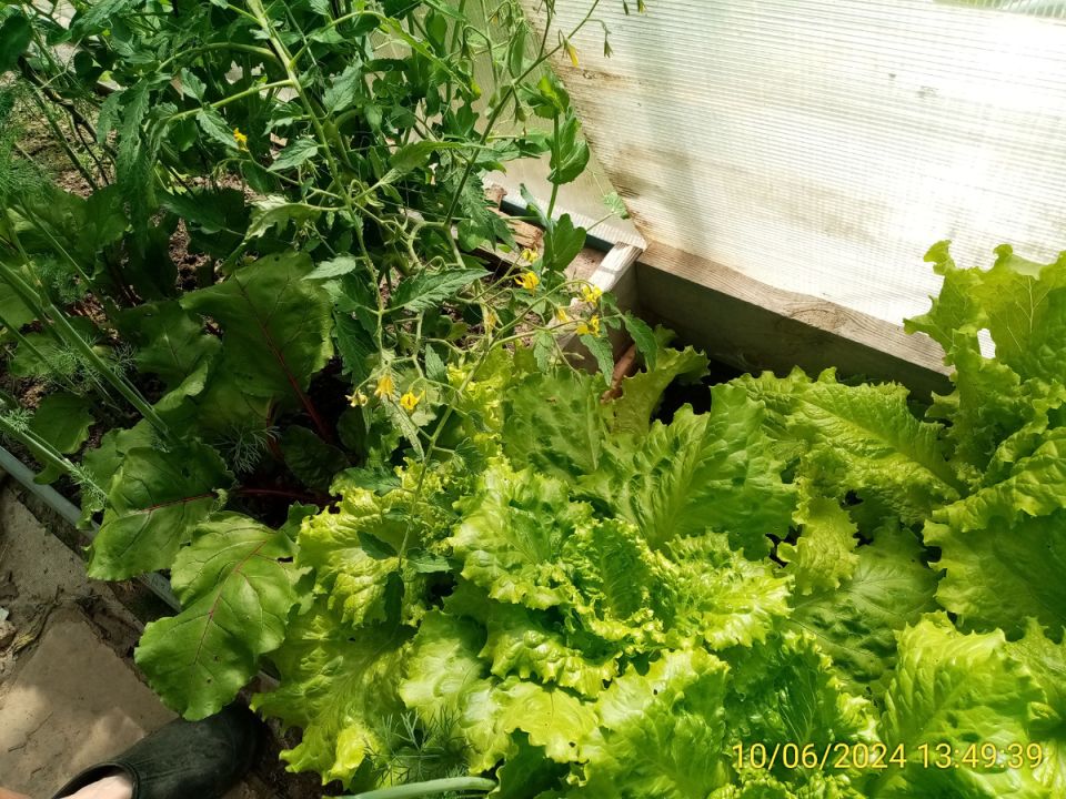 ������� ���������� ������: ��� �������� ������ ������ ��� ������