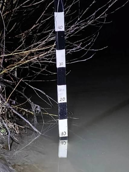 �� 20 ������ � ���������� ����������� �������� ����������������� �����������