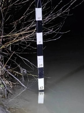 �� 20 ������ � ���������� ����������� �������� ����������������� �����������