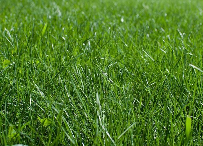 ��� ����������� ����� � ����: ������ ��� �������� ������� ������