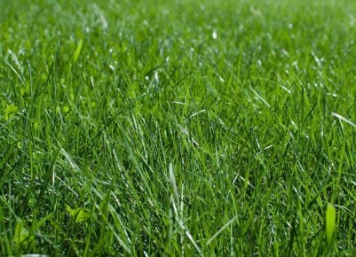 ��� ����������� ����� � ����: ������ ��� �������� ������� ������