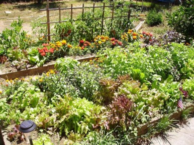 ���������� �����: ����������� ����������� ��� ��������