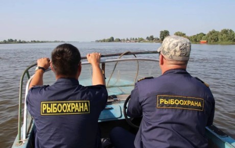 � ����������� ������� ������� ���������� � ������ ����������� � ������ �������