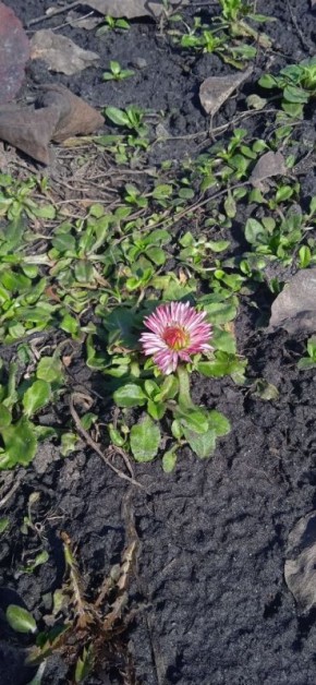 ������ ����, ������!. �������, 8 ������, �������� ���� ��������� ����, ���� �������� �������� ��������, ���� ������ ������ ������ � ���� ����������� ������� �������������