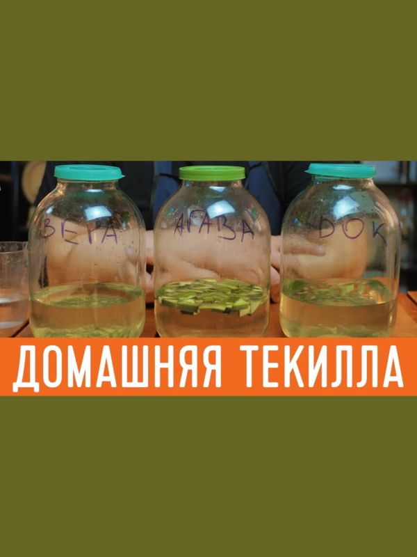 �������� �������� ������: ��� �� �����