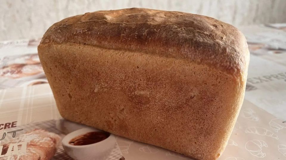 ����������� ���������� ����������� ���� �� ���� �� ��������� ����