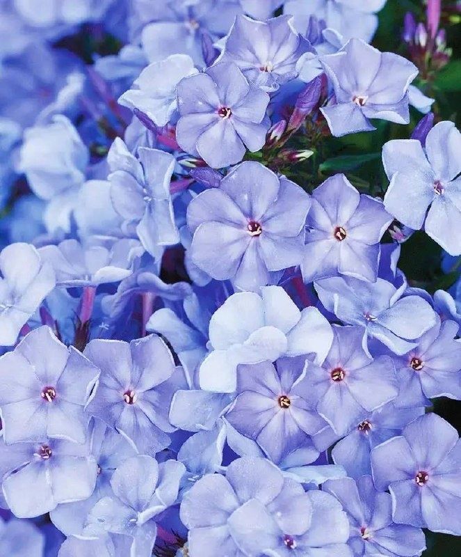 ����� ����������� ������� �� ����: ��������� ������ ������ ����