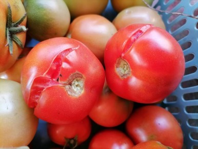 ������ ���������� �������� � ��� ����� ��������?