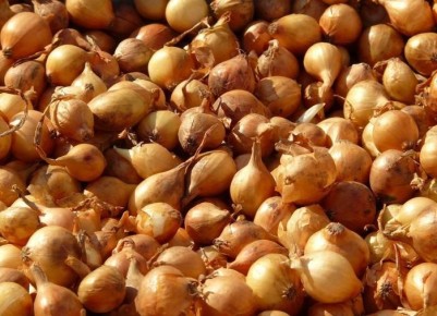 ������� ������� ���� � �������: ������� ��������� ������